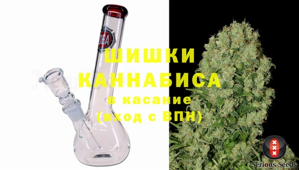 сатива Верхний Тагил