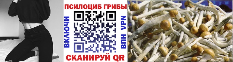 как найти наркотики  Первоуральск  Галлюциногенные грибы мухоморы 